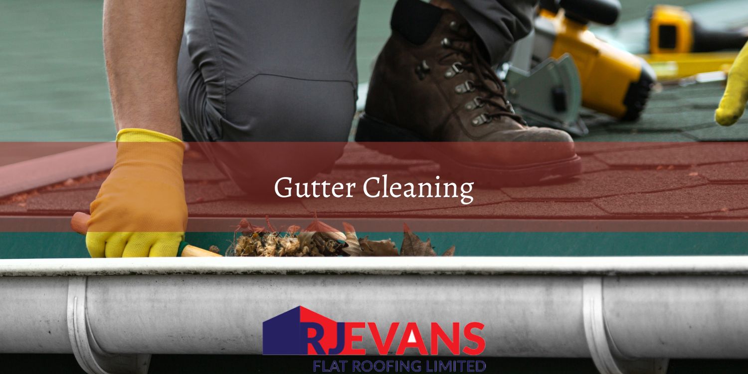 Gutter Cleaning